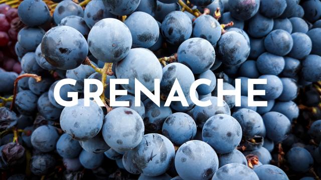 Grenache