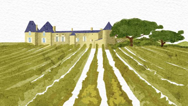 Illustration of Château d'Yquem