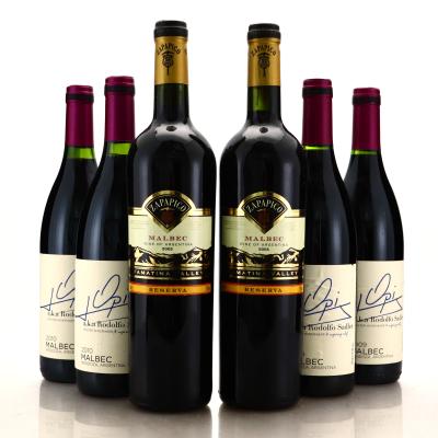 Assorted Argentinian Malbec 6x75cl