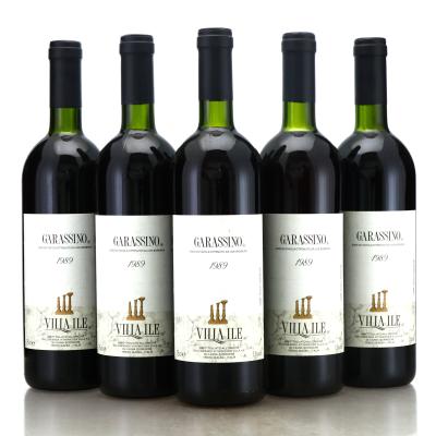 Villa Ile Garassino 1989 Piedmont 5x75cl