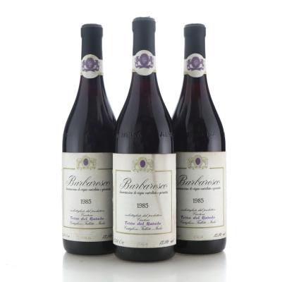 Image for Terre del Barolo 1985 Barbaresco