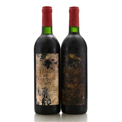 Blason de Costoijan 1995 Ribera Del Duero 2x75cl