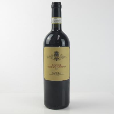 Rocche Costamagna 2009 Barolo