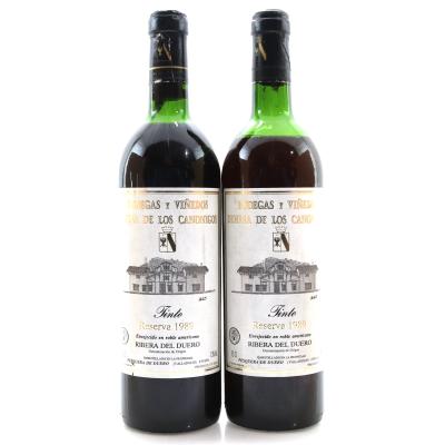 Dehesa De Los Canonigos 1989 Ribera Del Duero Reserva 2x75cl