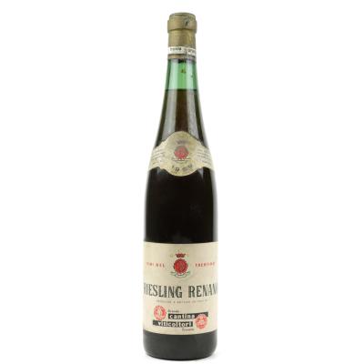 G.C.V. Riesling Renano 1959 Trentino