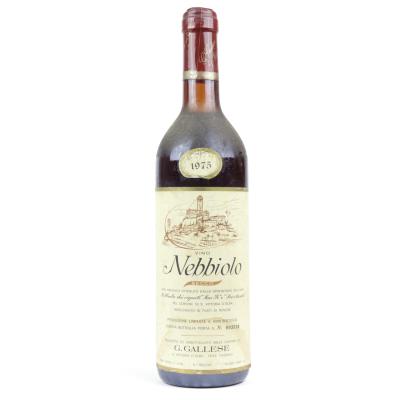 Gallese Nebbiolo 1975 Piedmont