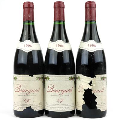 Dom. L. Fauvy 1995 Bourgueil 3x75cl