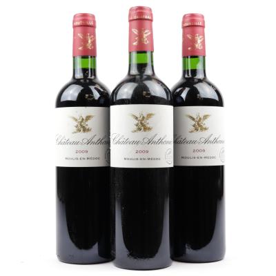 Ch. Anthonic 2009 Moulis-En-Medoc 3x75cl