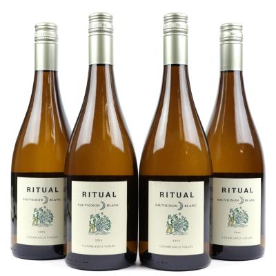 Ritual Sauvignon Blanc 2015 Casablanca 4x75cl