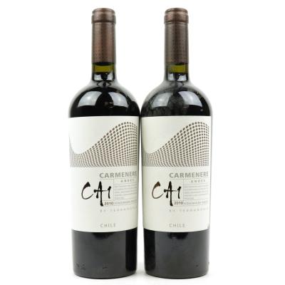 Terranoble CA1 Carmenere 2010 Colchagua 2x75cl